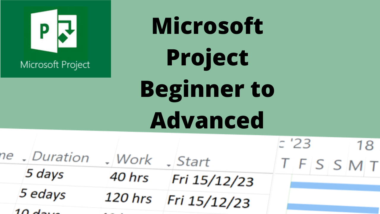 Microsoft Project for project managers