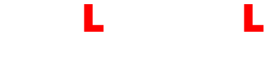 Ashley Neal Driving Instruction logo