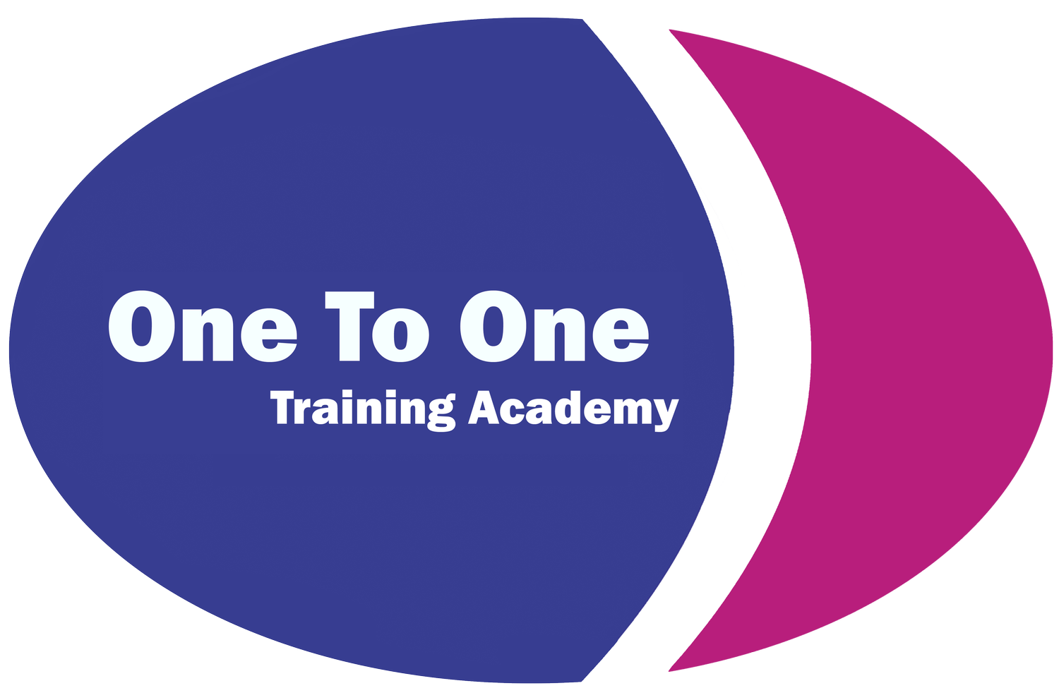 One To One Training Academy logo
