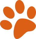 Gemma Fisher, Dog Training & Behaviour Specialist logo