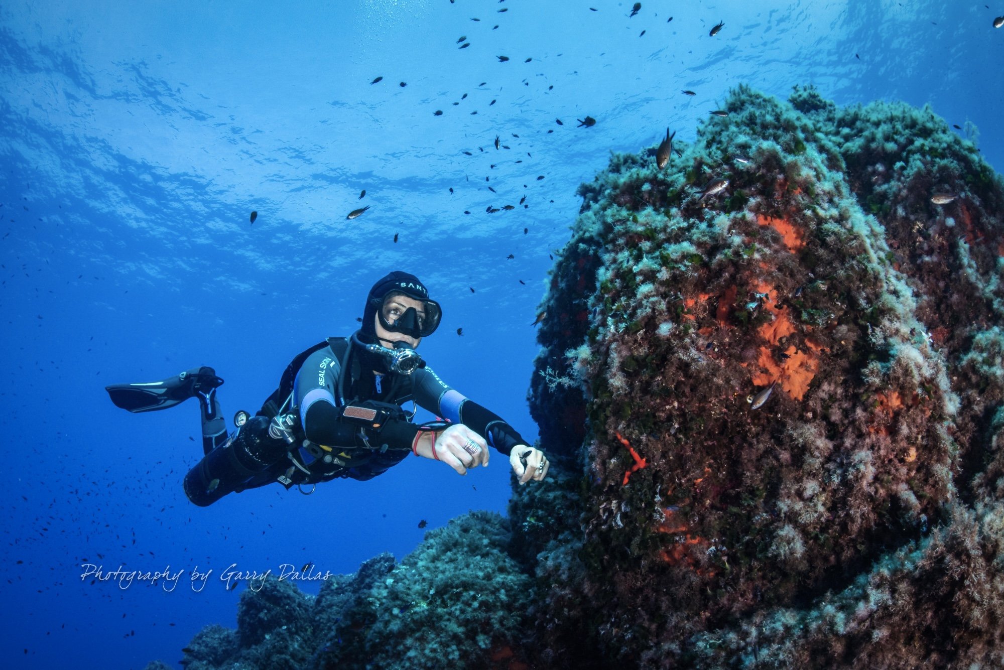 Scuba diving courses for all levels