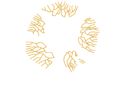Bio-leadership Ecosystem Group