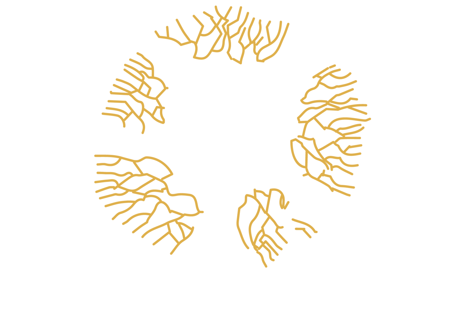 Bio-leadership Ecosystem Group logo