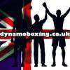 Dynamo Boxing