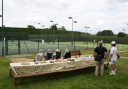 Steep Lawn Tennis Club logo