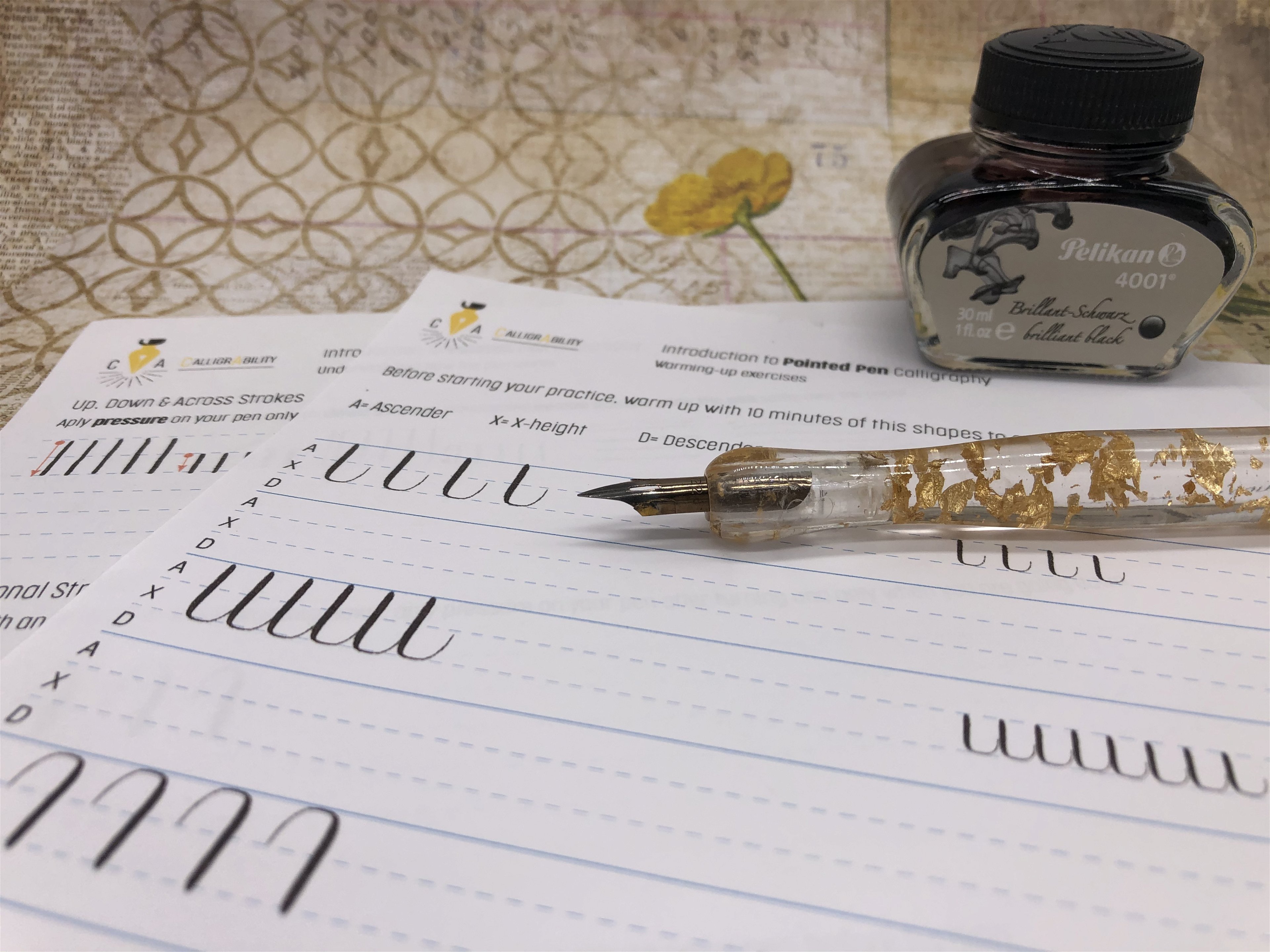 Introduction to Pointed Pen Calligraphy - Online workshop