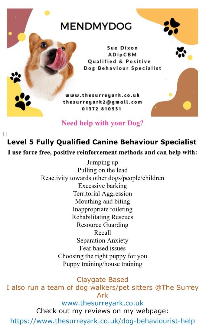 One to One Private Dog Behaviour Consultations