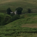 Northumberland Equine Retirement Livery