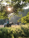 Squirrel Wood Equestrian Centre