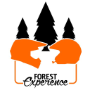 The Forest Experience