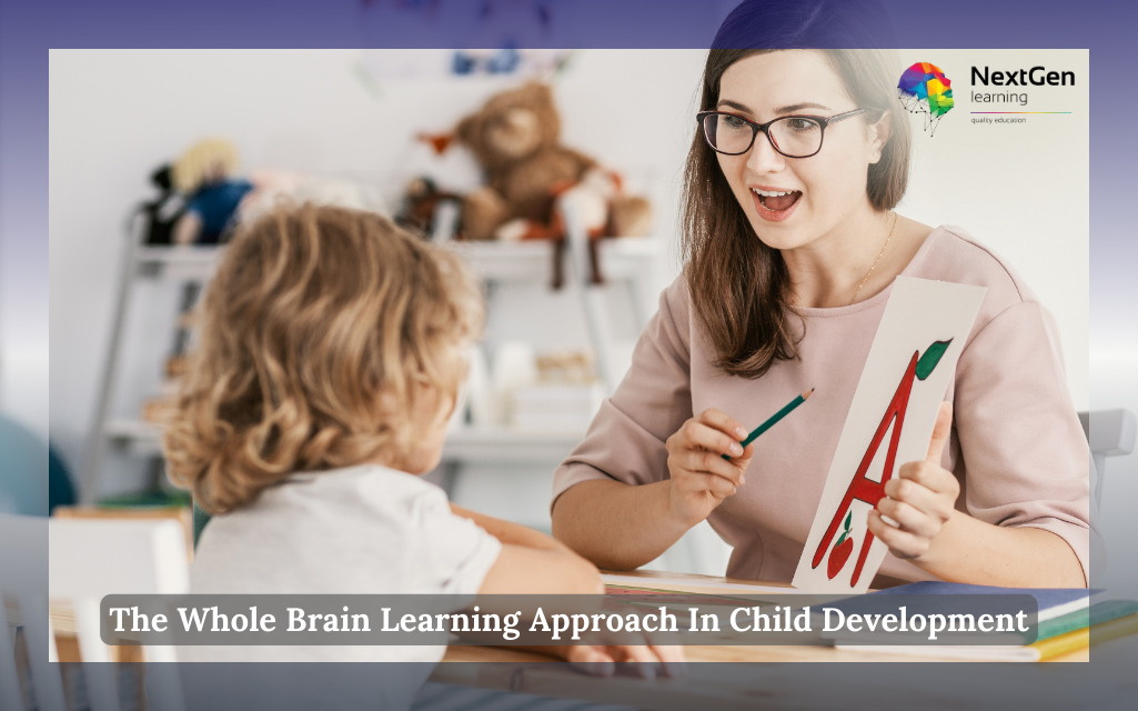 The Whole Brain Learning Approach In Child Development Course