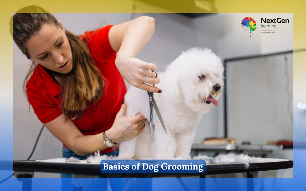 Basics of Dog Grooming Course