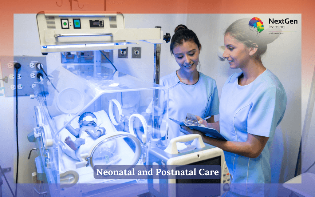 Neonatal and Postnatal Care Course