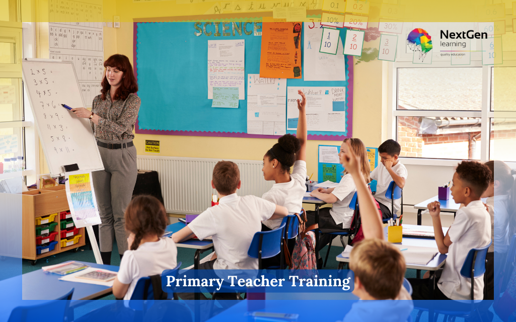 Primary Teacher Training Course