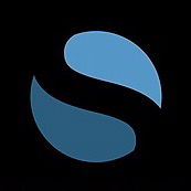 Synergy Group Fitness logo