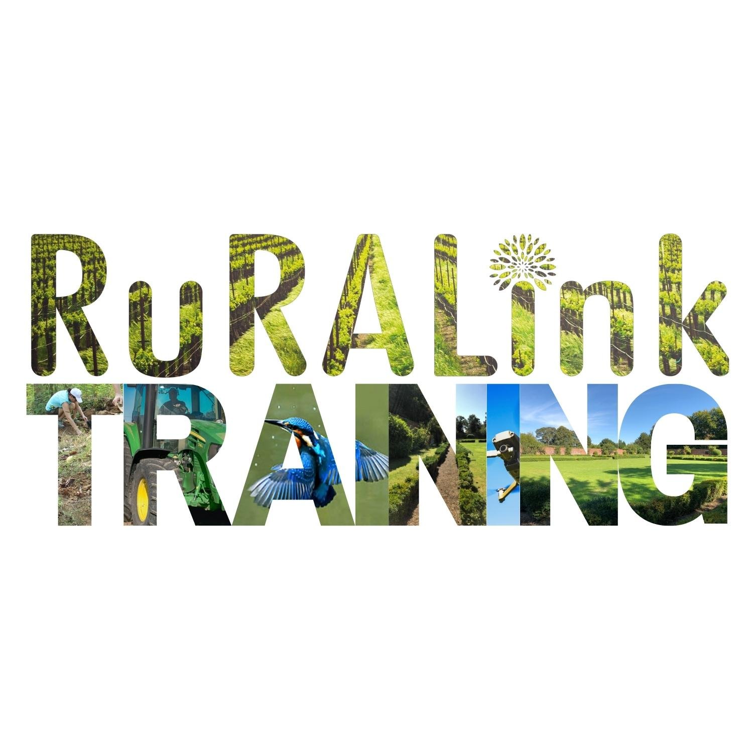 Ruralink Training logo