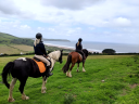 Woolacombe Riding Stables