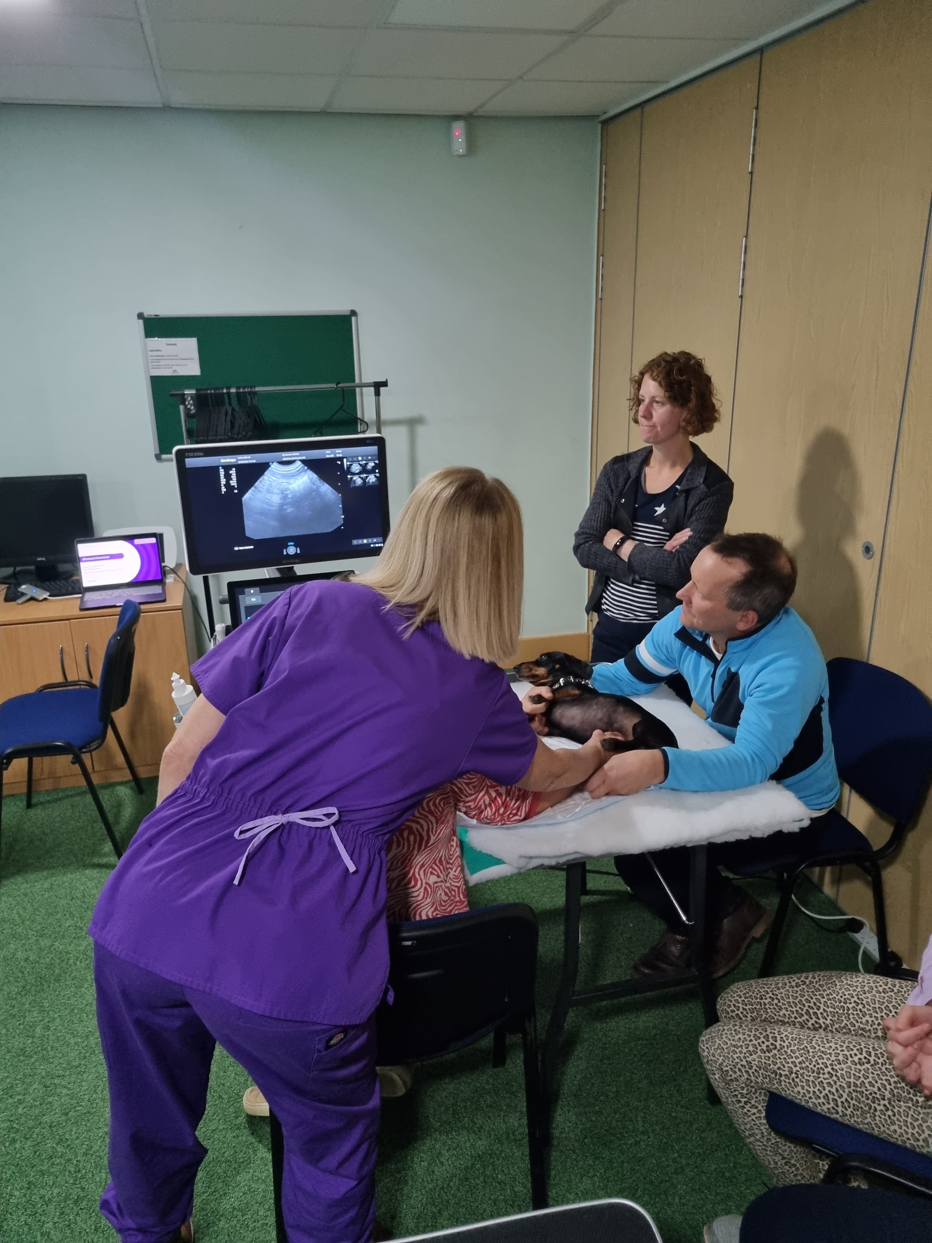 S/A WORKSHOP | Two-day Small Animal Abdominal Ultrasound (V12)