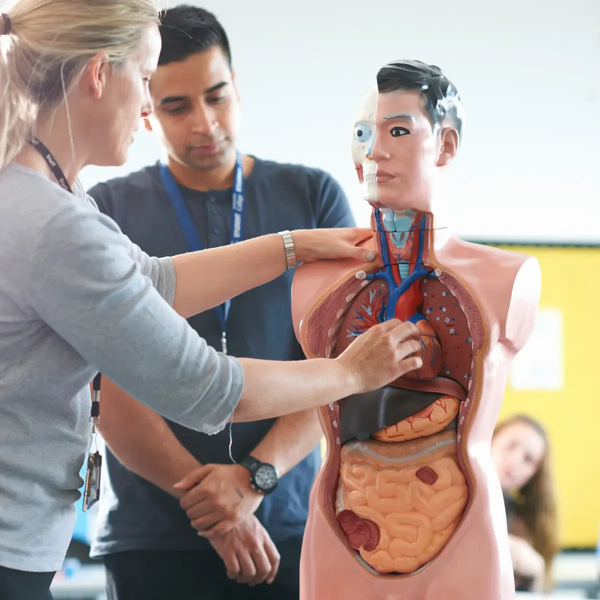 VTCT Level 3 Award in Anatomical and Physiological Knowledge of Body Systems Online Course