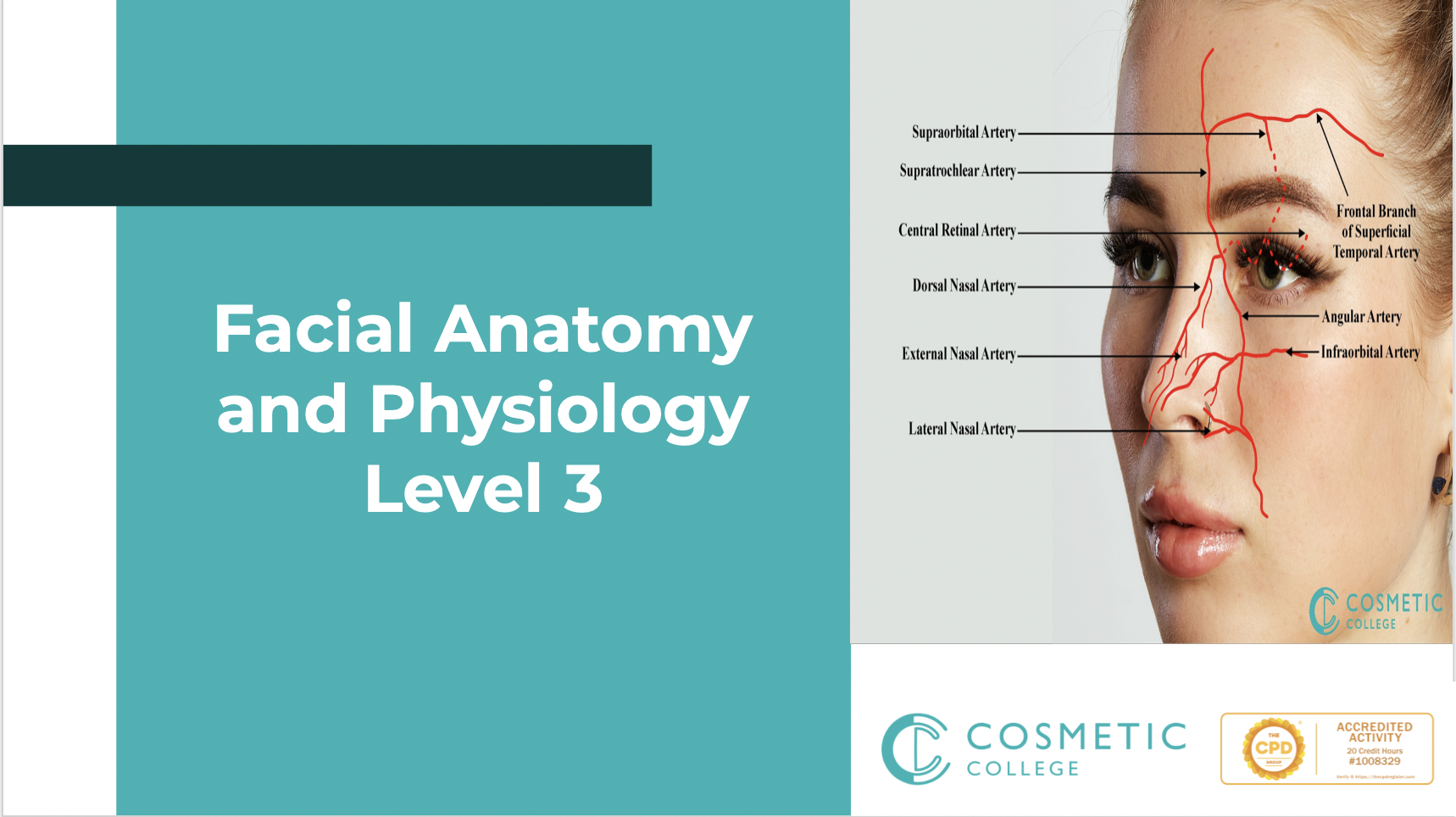 Facial Anatomy and Physiology
