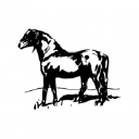 Dartmoor Pony Society logo