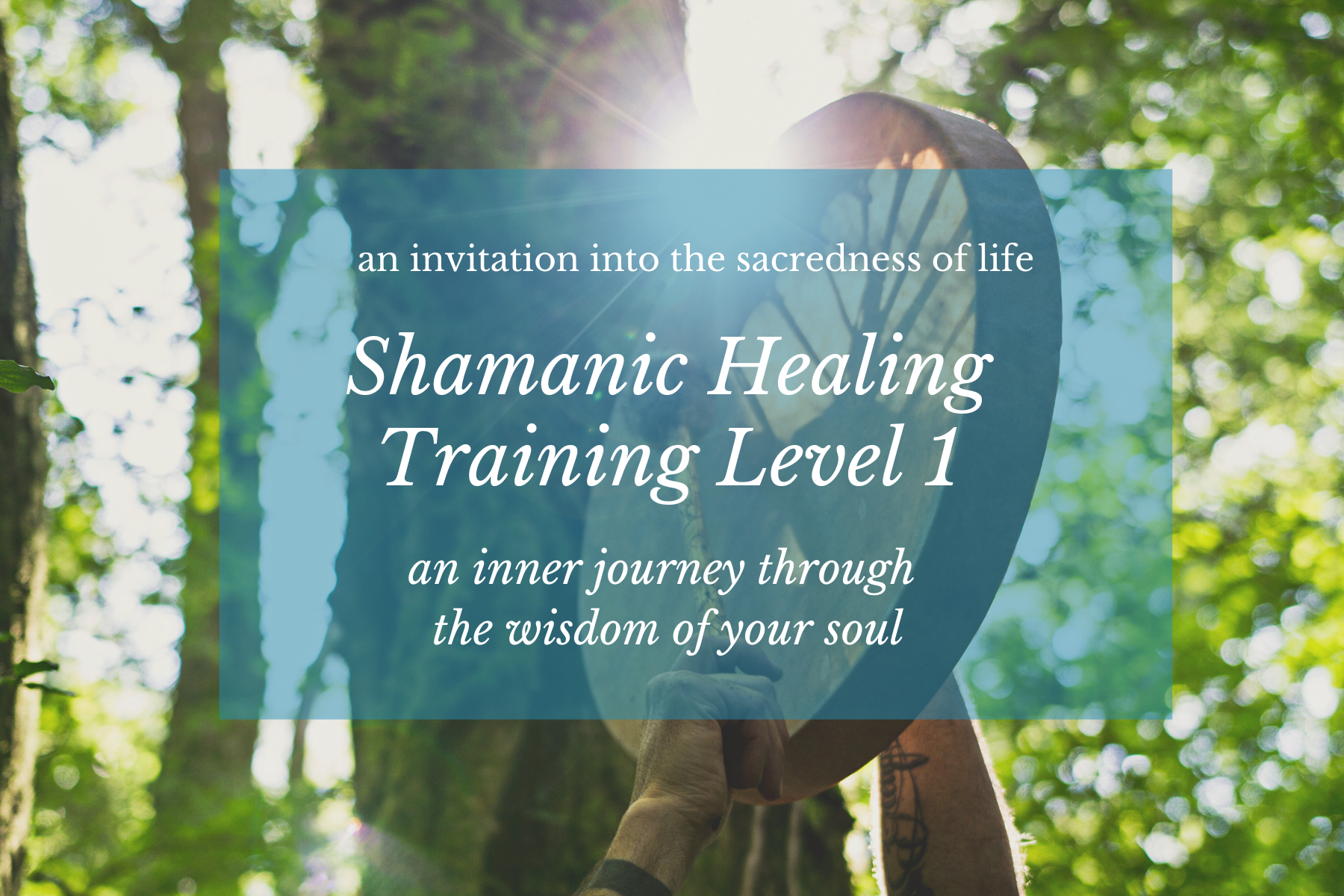 Shamanic Healing Training Level 1