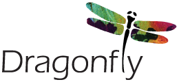 Dragonfly Nail & Beauty Academy logo