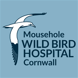 Mousehole Wild Bird Hospital And Sanctuary Association