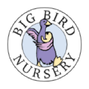 Big Bird Nursery