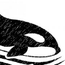 Orca Swmming Club logo