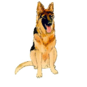 Nina'S Ark Dog Training logo