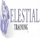 Elestial Training logo