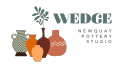 Wedge Studio logo