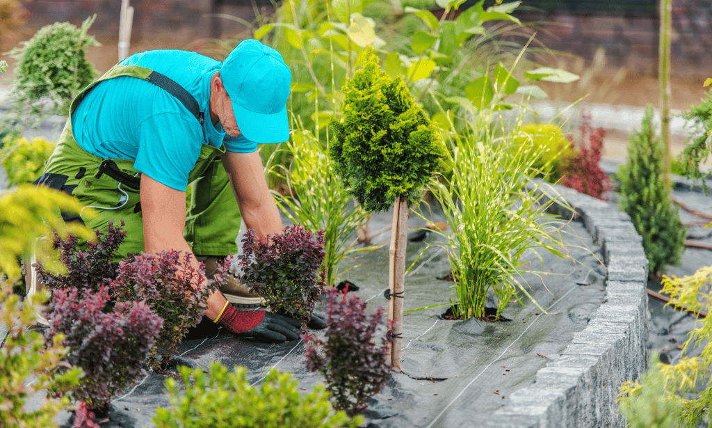 Gardening - Garden Design