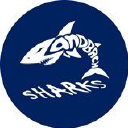Sandbach Sharks logo