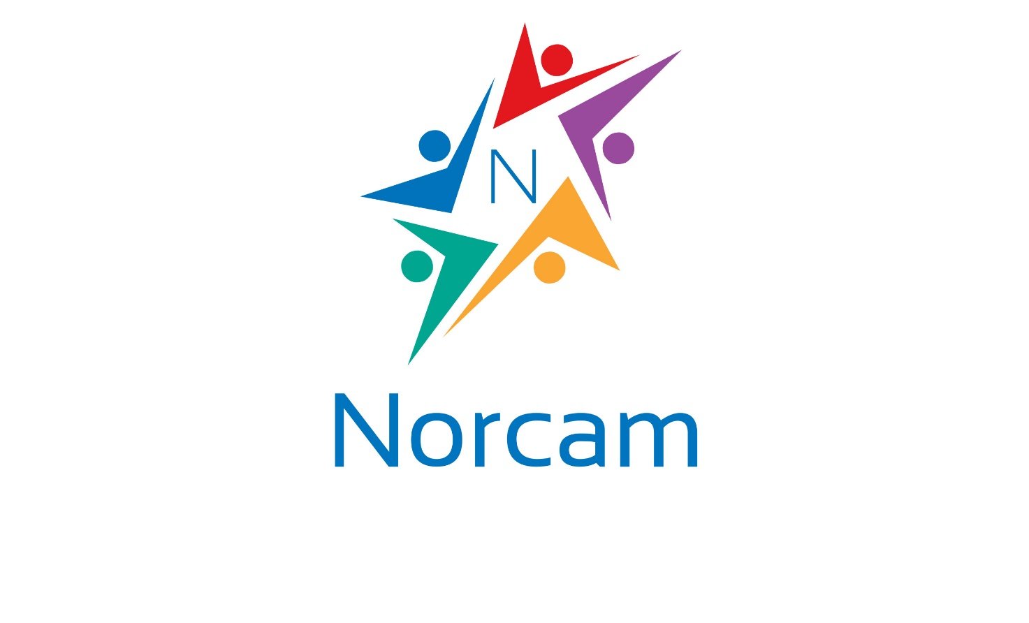Norcam Ltd logo