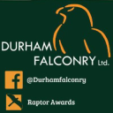 Durham Falconry logo