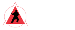 Elite Karate Academy