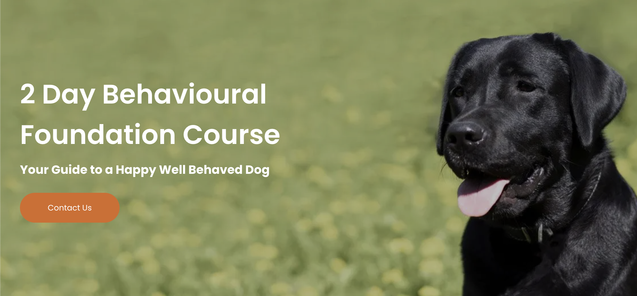 2 Day Behavioural Foundation Course