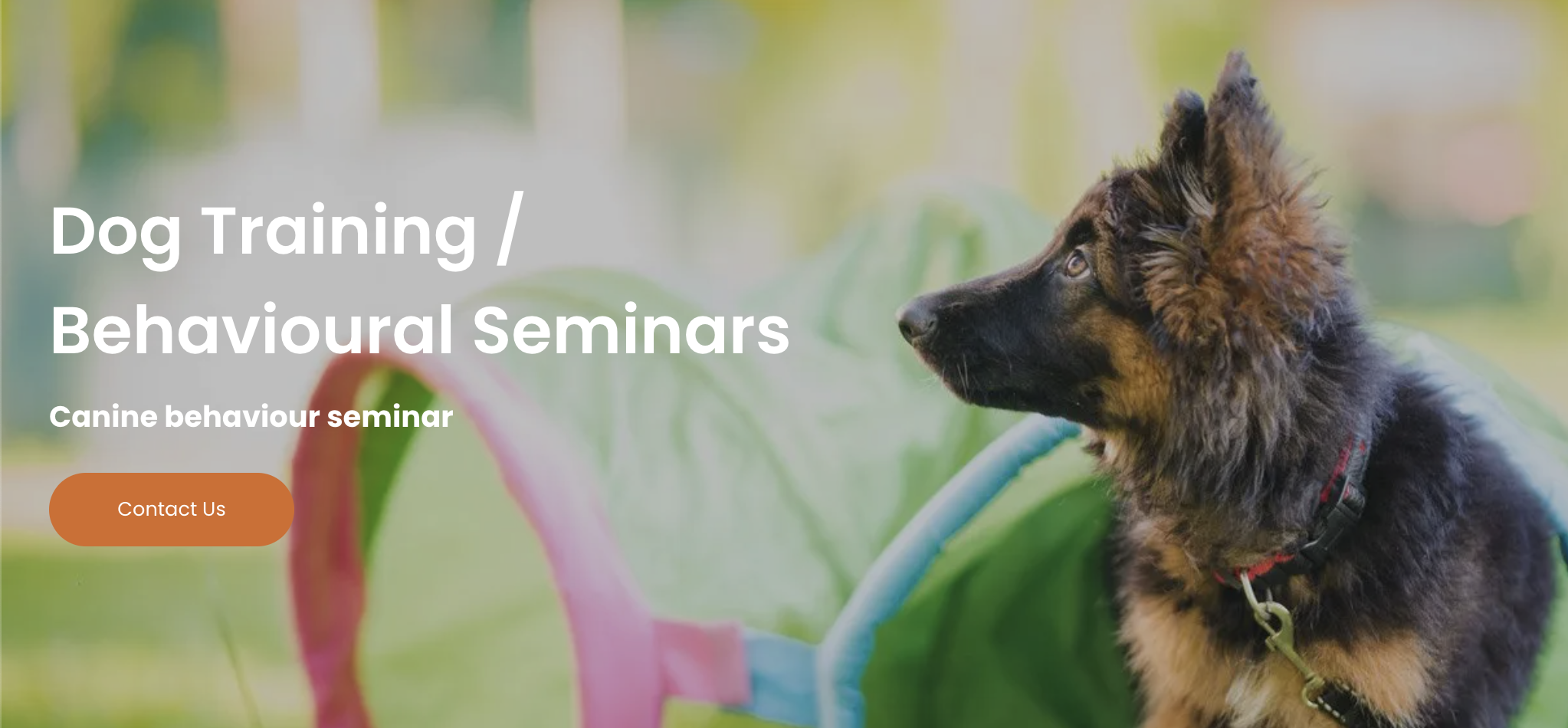 Dog Training / Behavioural Seminars