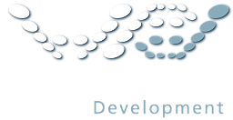 High Performance Development