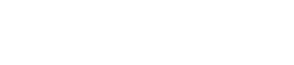 Settlement Support logo