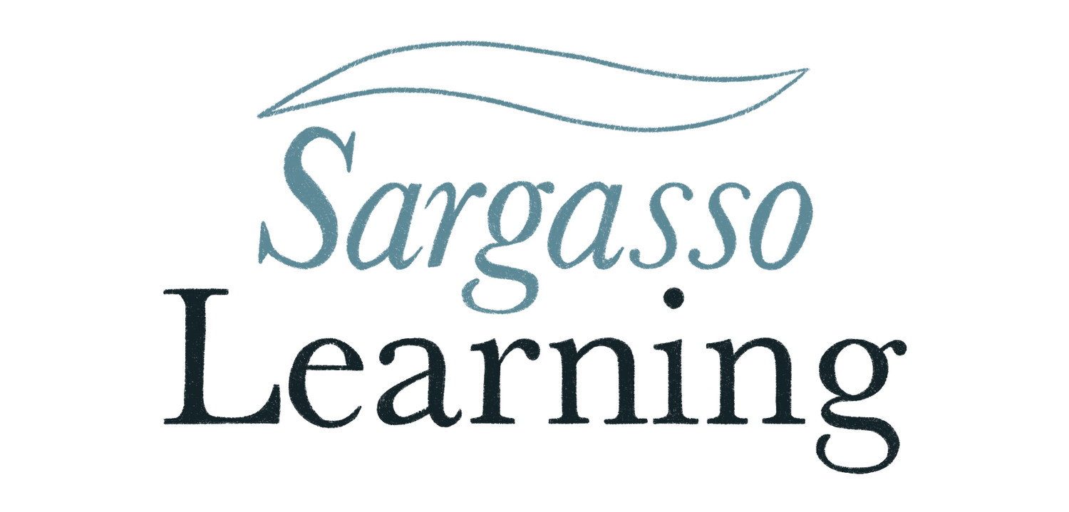 Sargasso Learning logo