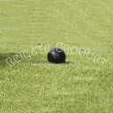 Reigate Priory Croquet Club