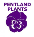 Pentland plants