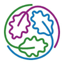 Nottinghamshire Alliance Training Hub logo