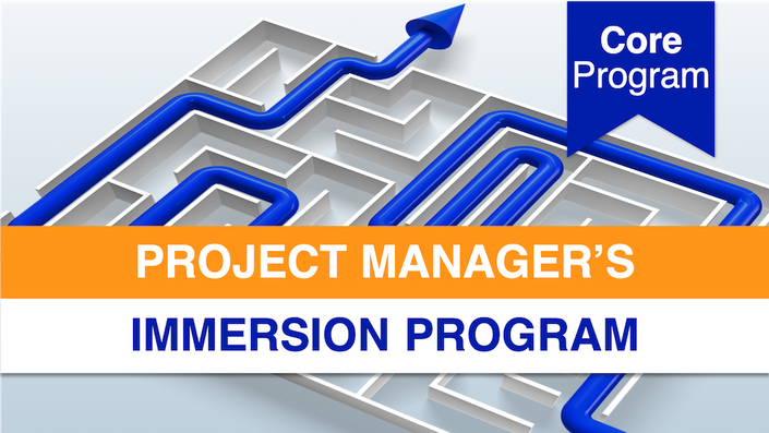 Project Manager's Immersion Program