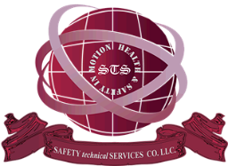 Safety Technical Services (Europe)