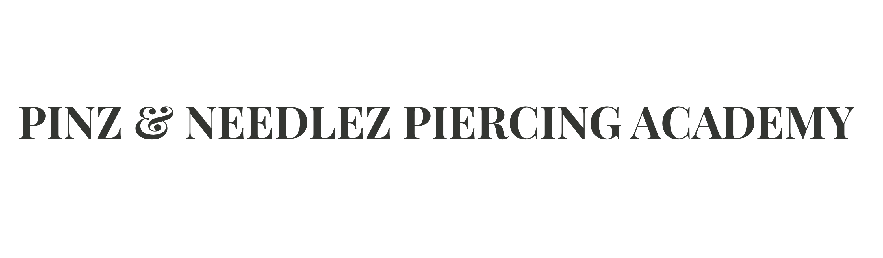 Pinz & Needlez Piercing Academy logo