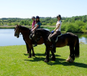 Downs-Side Riding And Livery Centre logo